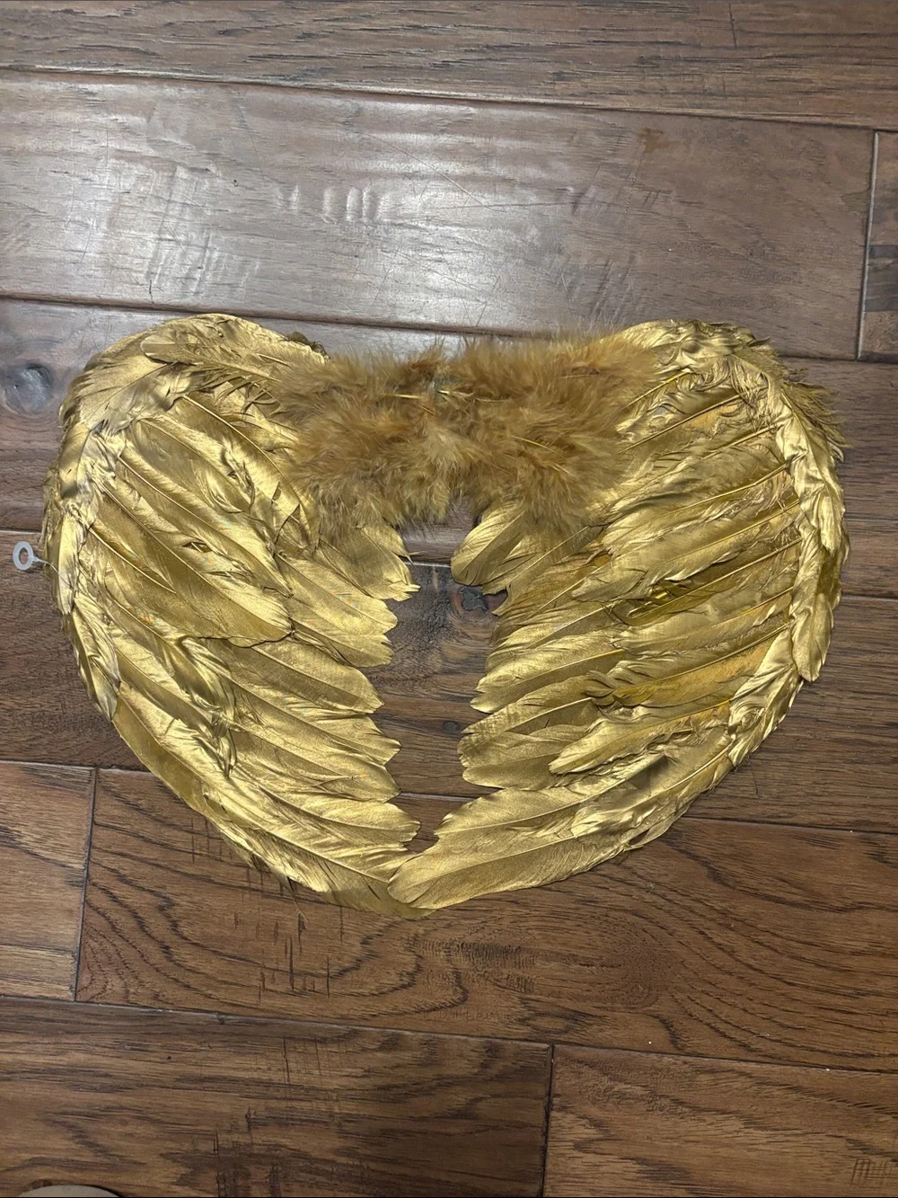 Gold Feather Angel Wings Movie Quality